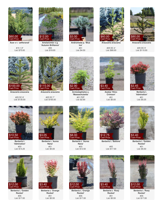 Picture Availability Sample, row of plant photos with price and other information with each photo